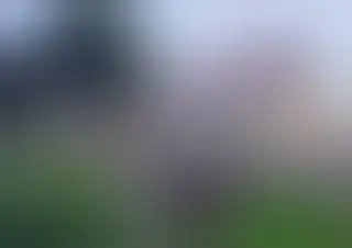 Pani Janina Leszczyńska z Łobza świętuje 100. urodziny