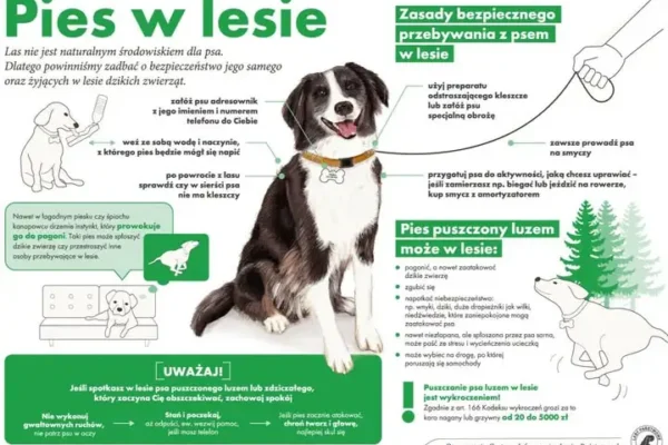 Dzień Psa w Nadleśnictwie Resko – zaproszenie na wspólny spacer