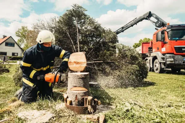 Drzewa na drodze w Rogowie – interwencja OSP Radowo Małe