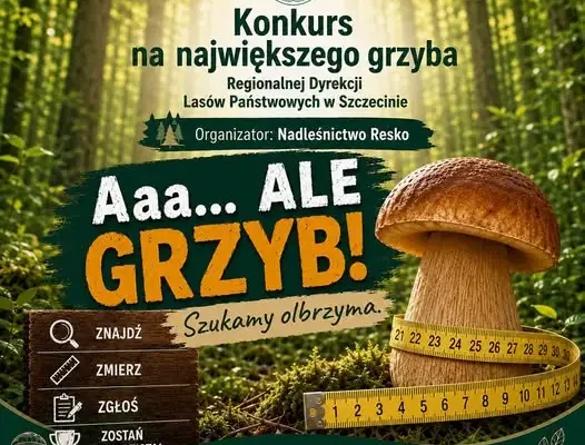 Konkurs na największego grzyba w Nadleśnictwie Resko – zgłoszenia do 31 października