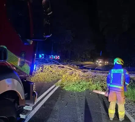 Interwencje OSP Węgorzyno: pochylone drzewa, zalana jezdnia i kolizje na drogach