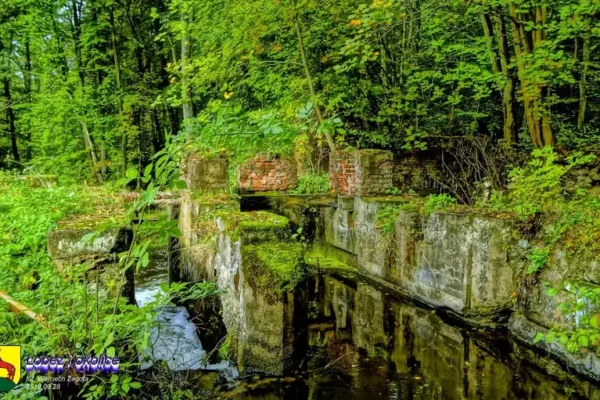 Biały Młyn w Lesięcinku – zapomniana osada leśna nad Brzeźnicką Węgorzą