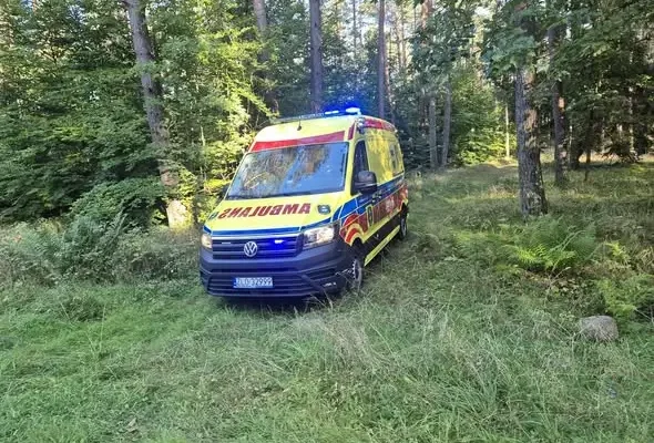 Interwencje OSP Węgorzyno: drzewo na drodze, pożar traw i poszukiwania zaginionej osoby