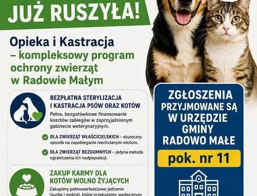 Gmina Radowo Małe finansuje sterylizację i kastrację zwierząt – trwają zgłoszenia
