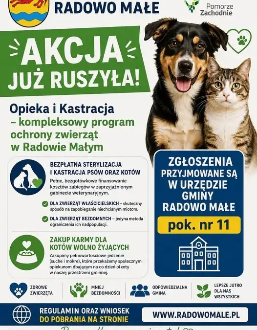 Gmina Radowo Małe finansuje sterylizację i kastrację zwierząt – trwają zgłoszenia