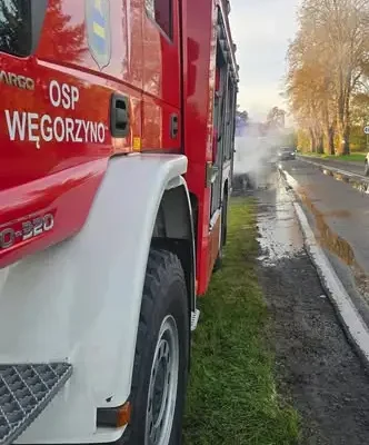 Interwencje OSP Węgorzyno: drzewa na drogach i pożar pojazdu