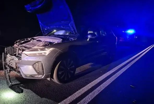 Zdarzenie drogowe na DK20 między Węgorzynem a Ginawą