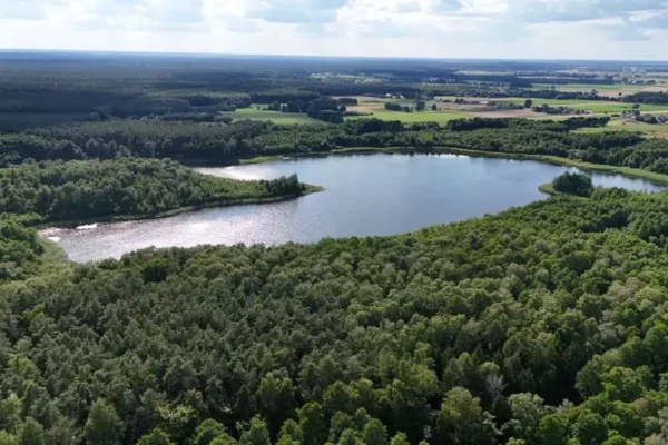 Nadleśnictwo Resko zaprasza nad Jezioro Rejowickie – nowe miejsce postoju dla turystów