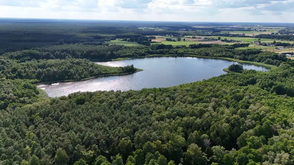 Nadleśnictwo Resko zaprasza nad Jezioro Rejowickie – nowe miejsce postoju dla turystów